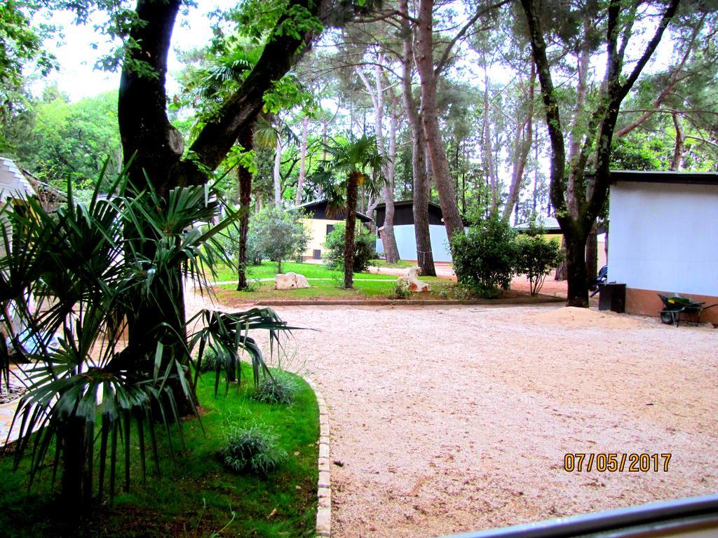 Holiday Park Mimoza Bašanija Kültér fotó